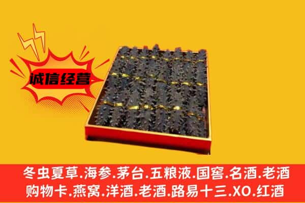 大兴安岭松岭回收海参